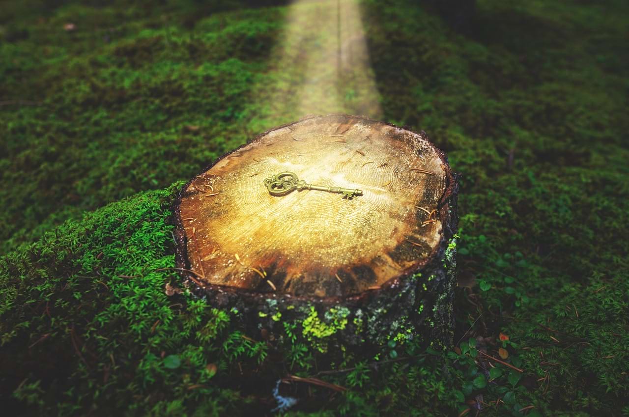 Golden Key on Illuminated Tree Stump